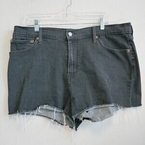 Levi's High Rise Shorts Sz 34 Summer Beachy Boho